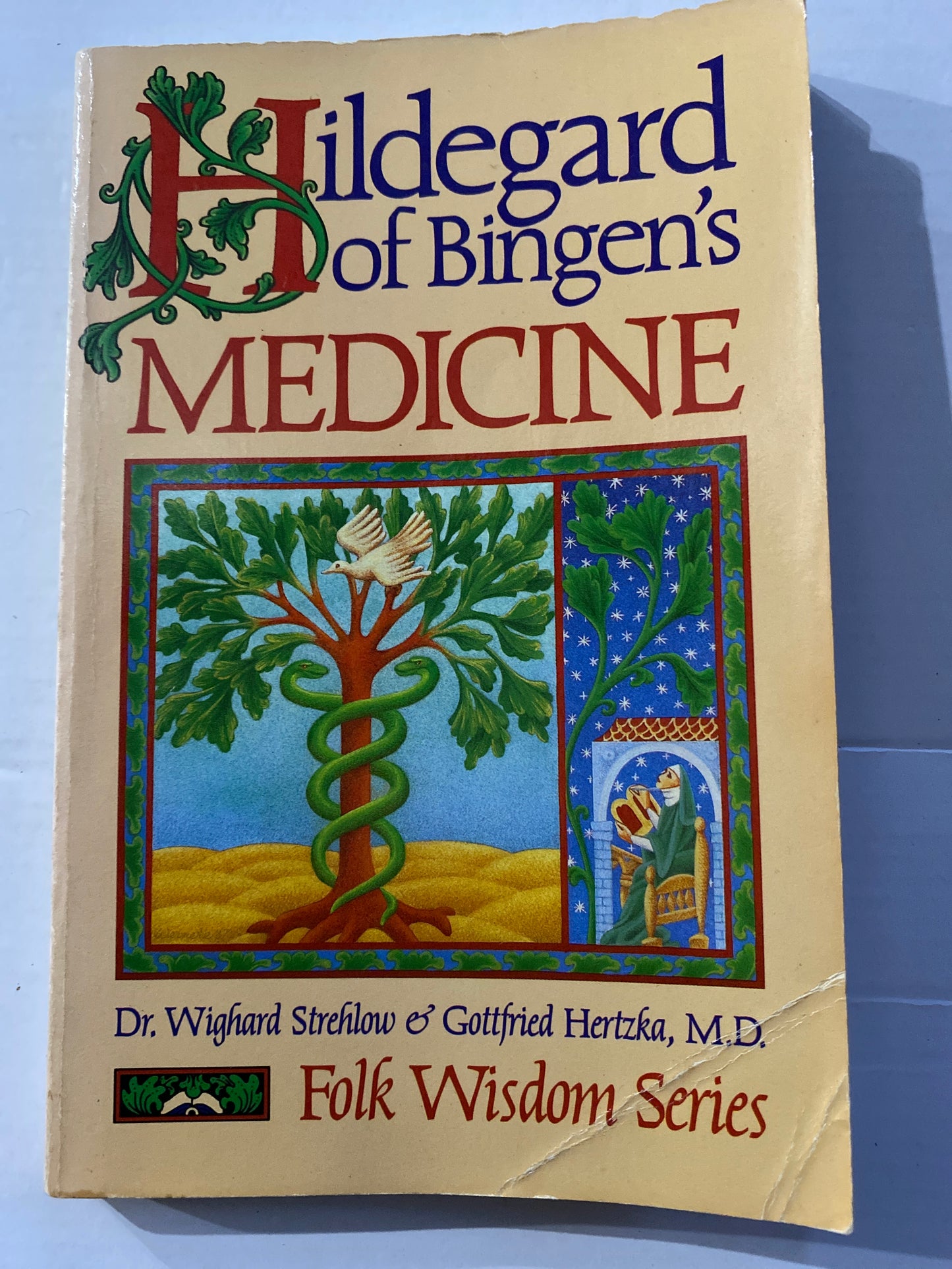 Hildegard of Bingen's Medicine by Dr. Wighard Strehlow & Gottfried Hertzka M.D.