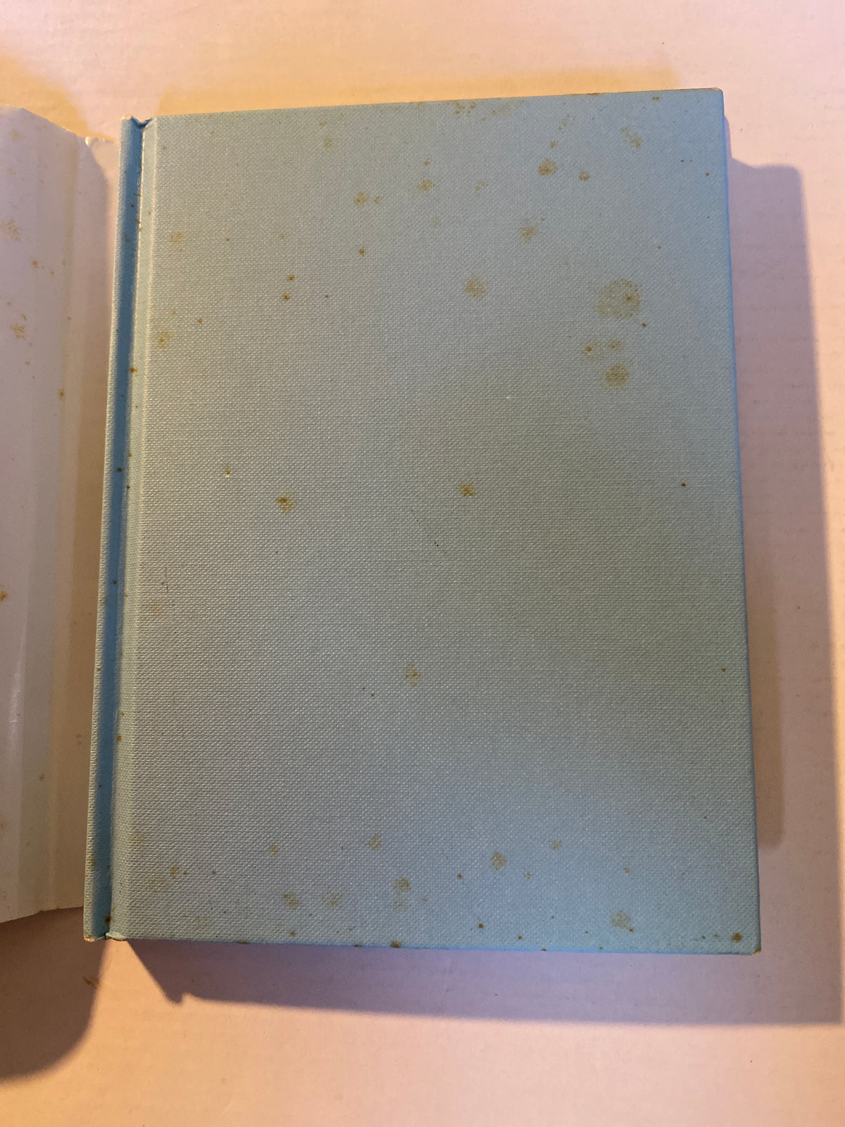 The Book of Goddesses by Ronni Jay | Pre-Loved Hardcover
