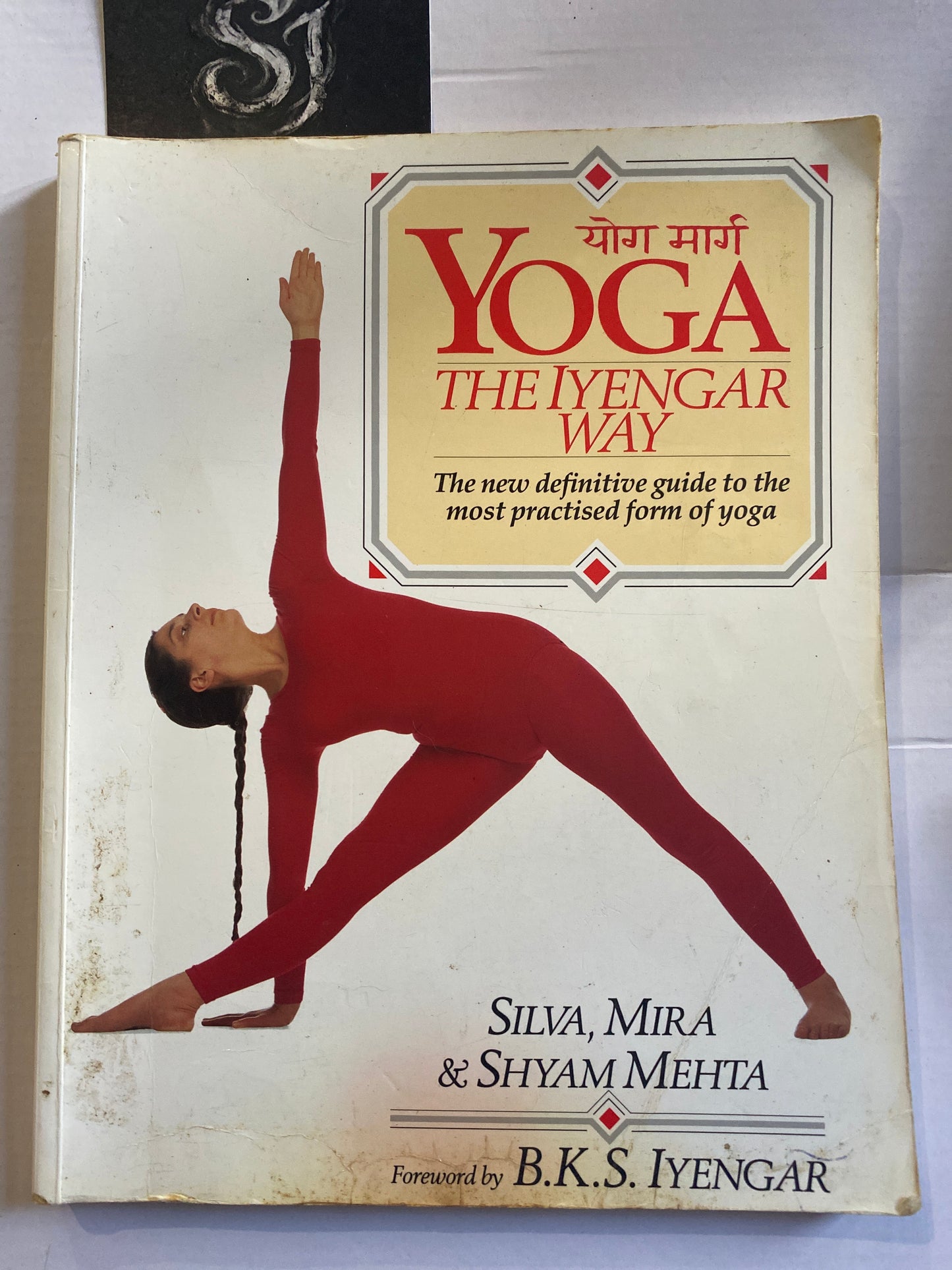 Yoga: The Iyengar Way by Silva Mehta, Mira Mehta & Shyam Mehta