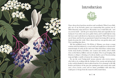 Kate Forsyth's Hedgewitch Oracle by Dr Kate Forsyth