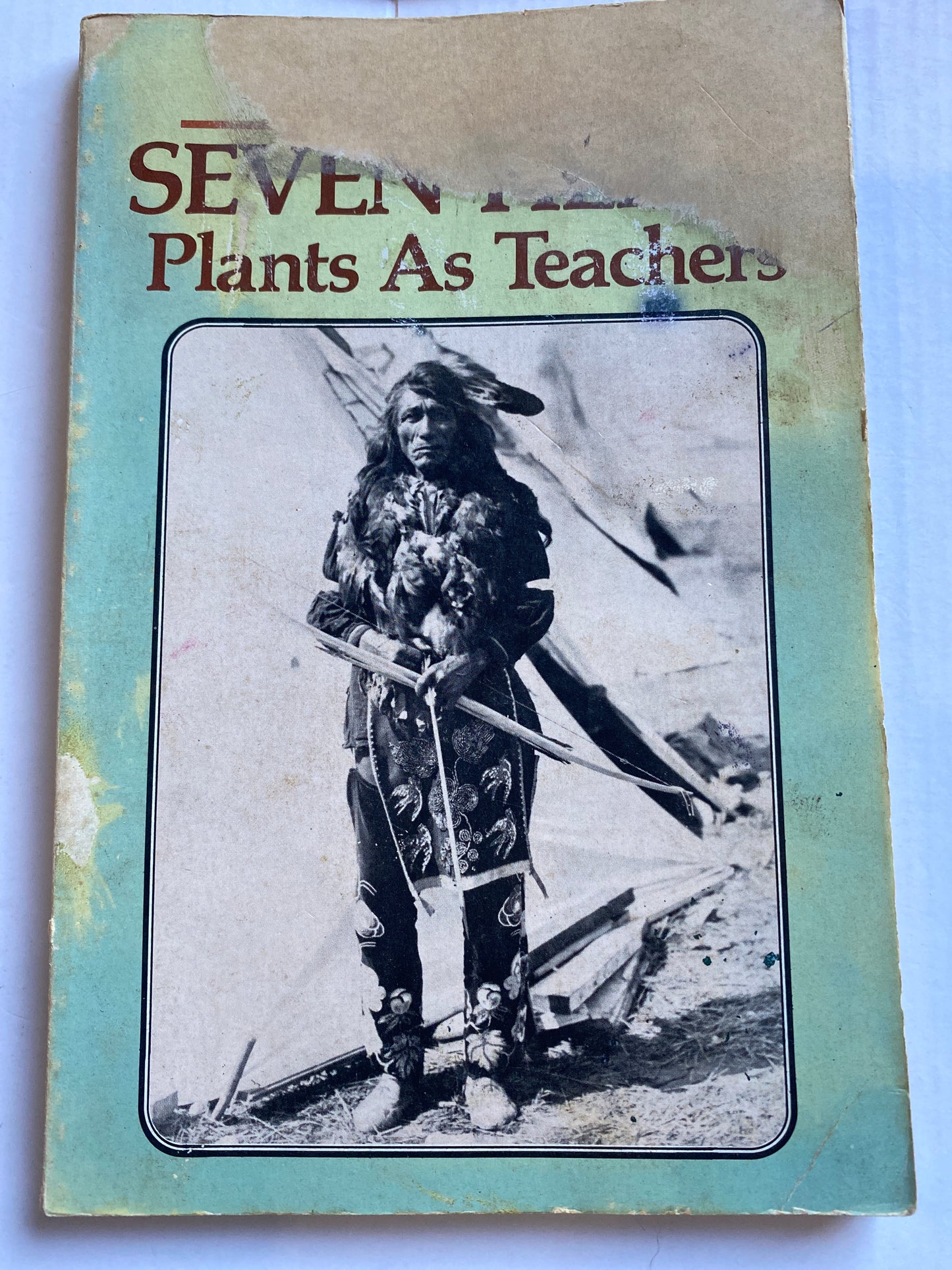Seven Herbs: Plants as Teachers by Matthew Wood