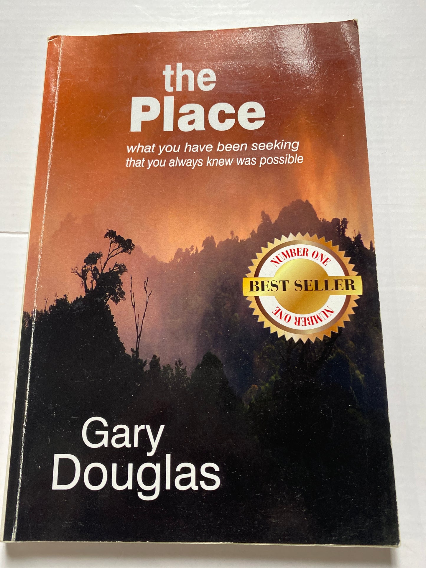 The Place by Gary Douglas (2010)