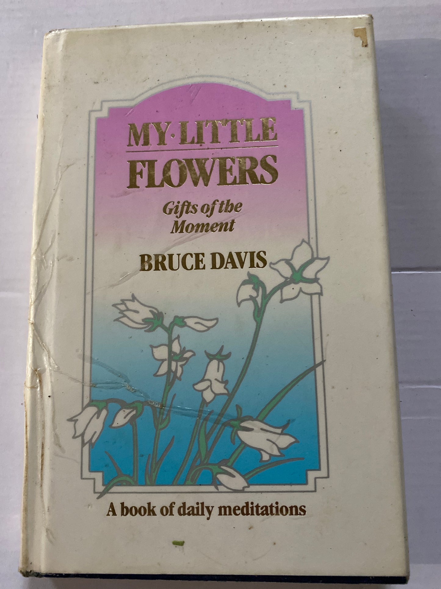 My Little Flowers: Gifts of the Moment by Bruce Davis