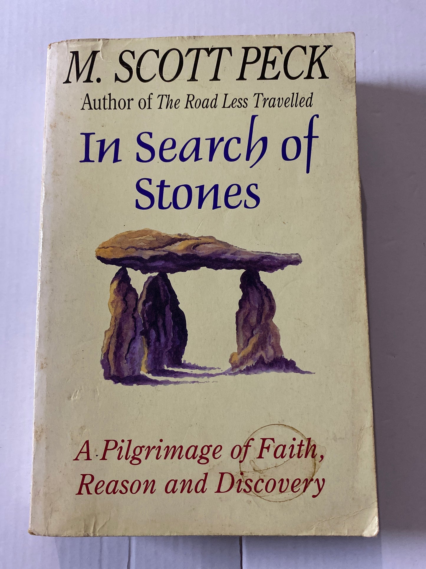 In Search of Stones: A Pilgrimage of Faith, Reason and Discovery
