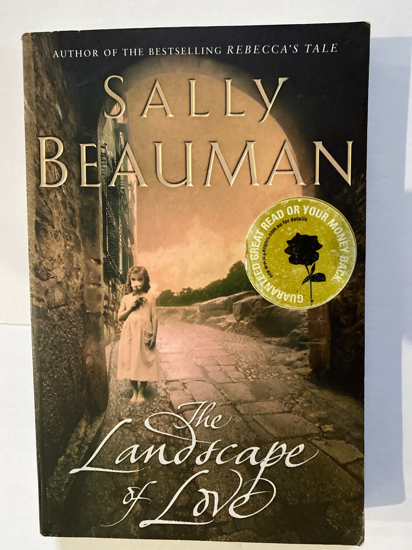 The Landscape of Love by Sally Beauman