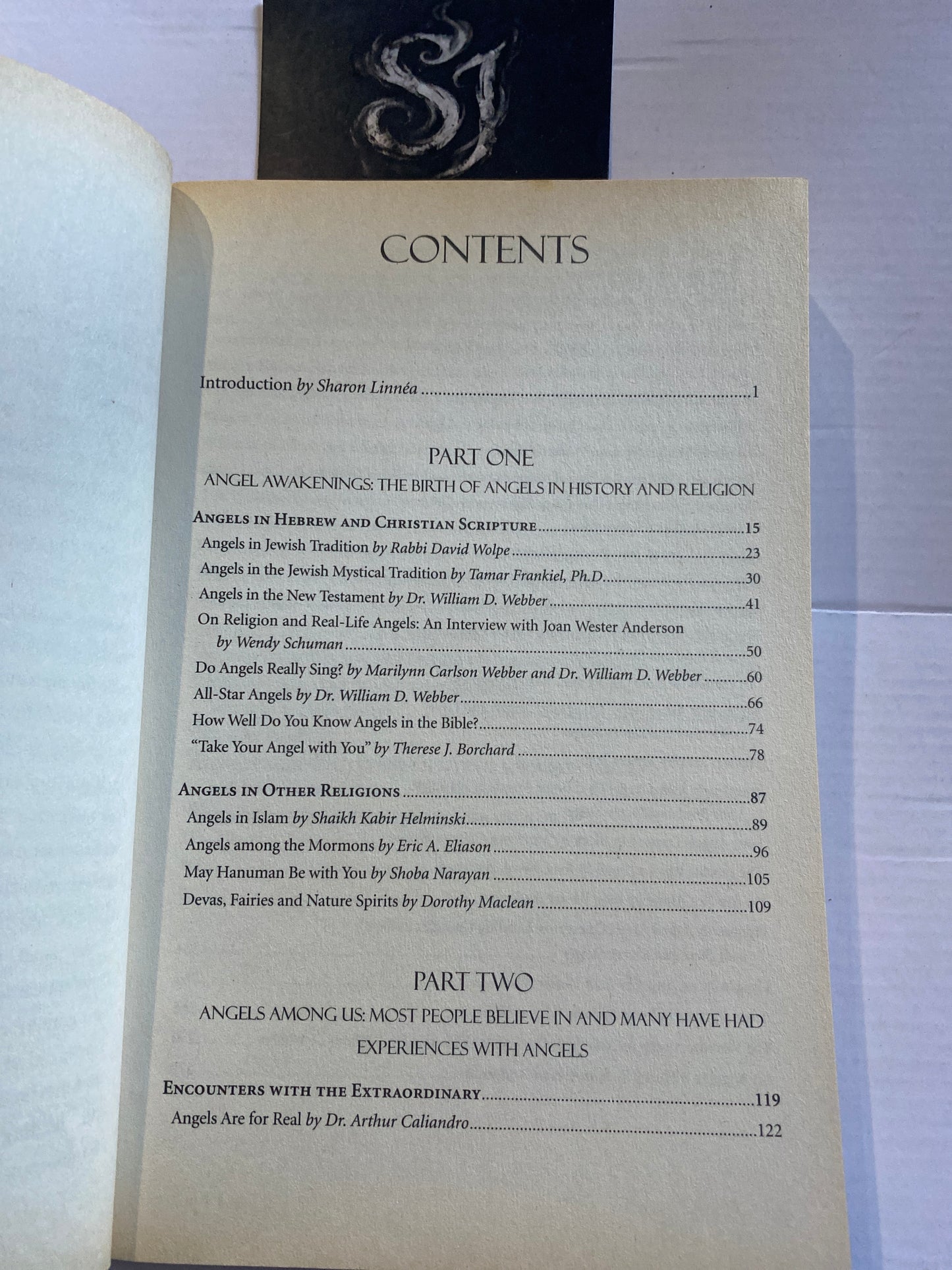 The Big Book of Angels By Wendy Schuman (2003)