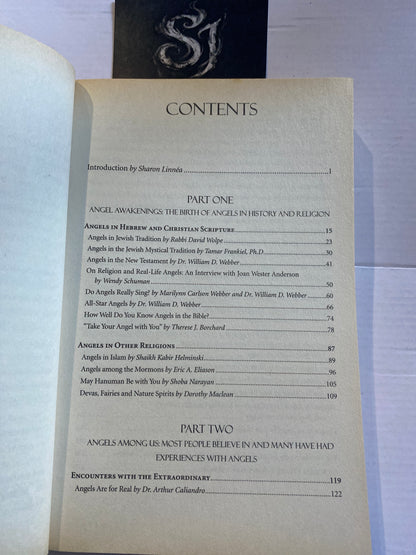 The Big Book of Angels By Wendy Schuman (2003)