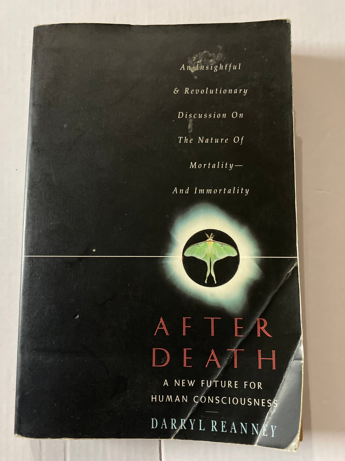 After Death: A New Future for Human Consciousness