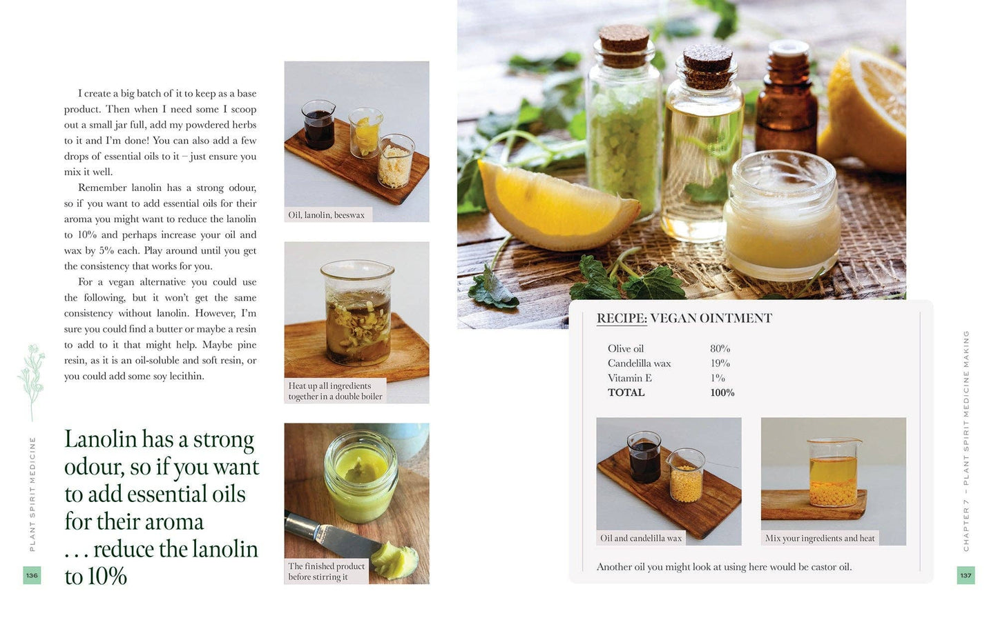 Plant Spirit Medicine: Reconnect with Nature & Heal from Within