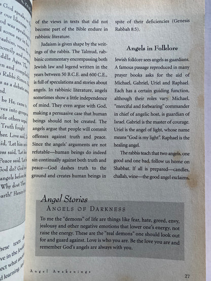 The Big Book of Angels By Wendy Schuman 2003