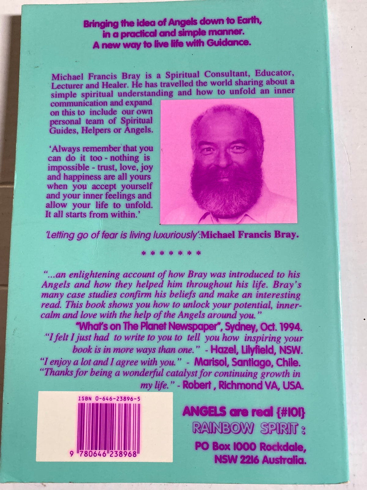 Angels Are Real by Michael F. Bray