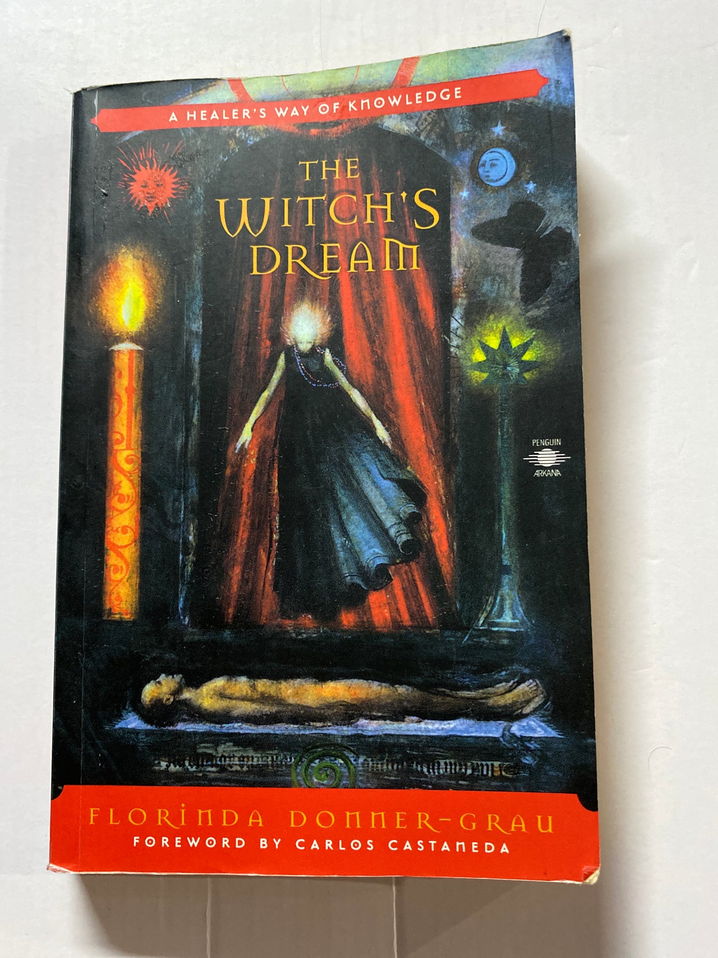 The Witch's Dream: A Healer's Way of Knowledge by Florinda Donner-Grau
