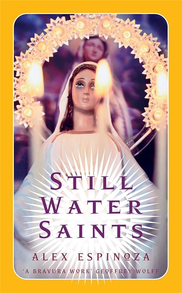 Still Water Saints: A Novel cover image