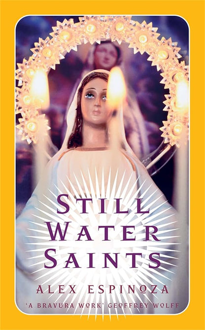 Still Water Saints: A Novel cover image