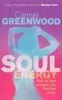Soul Energy: How to Heal Yourself and Feel Full of Life cover image