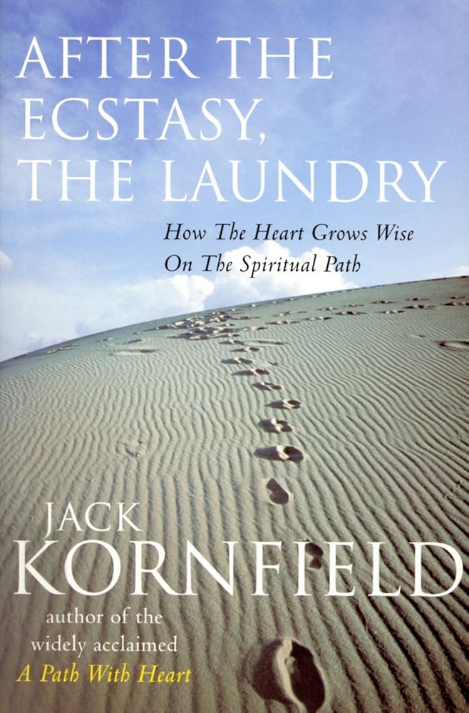 After The Ecstasy, The Laundry cover image
