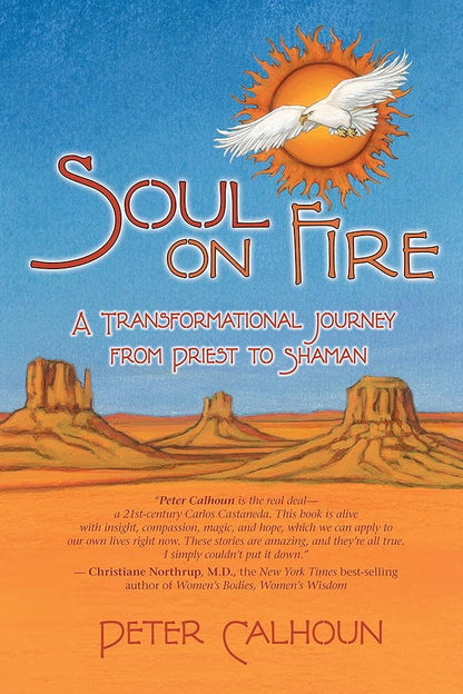 Soul on Fire: A Transformational Journey from Priest to Shaman cover image