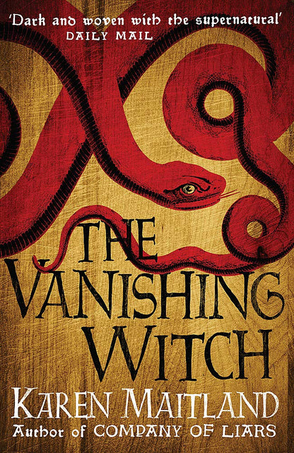The Vanishing Witch: A dark historical tale of witchcraft and rebellion cover image