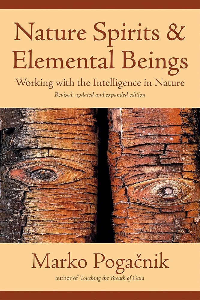 Nature Spirits & Elemental Beings: Working with the Intelligence in Nature cover image