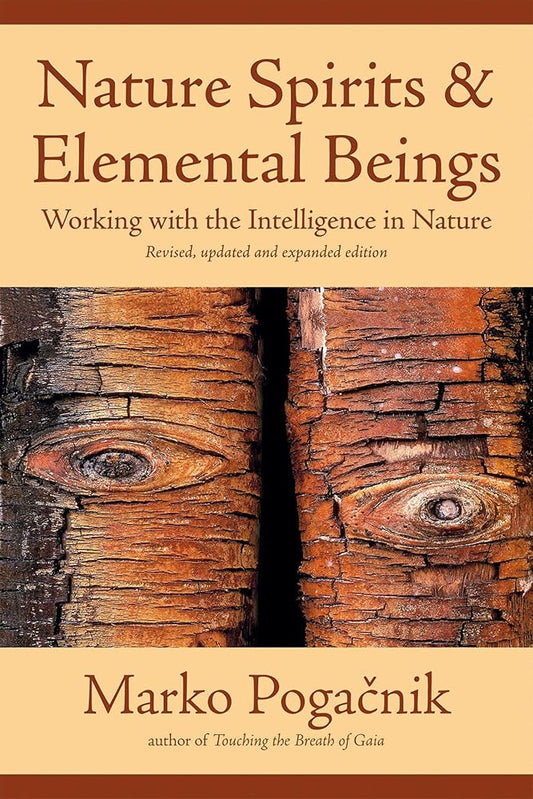 Nature Spirits & Elemental Beings: Working with the Intelligence in Nature cover image