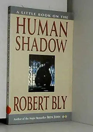 A Little Book on the Human Shadow (Little Books) cover image