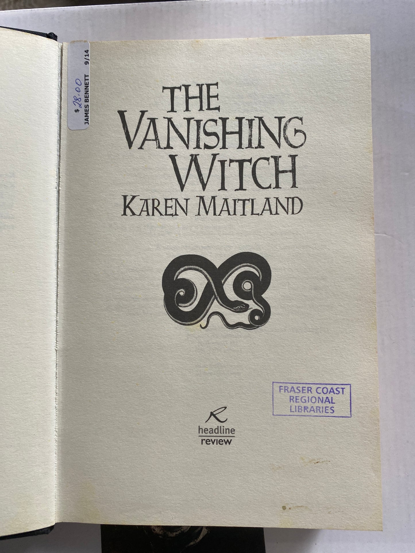 The Vanishing Witch by Karen Maitland