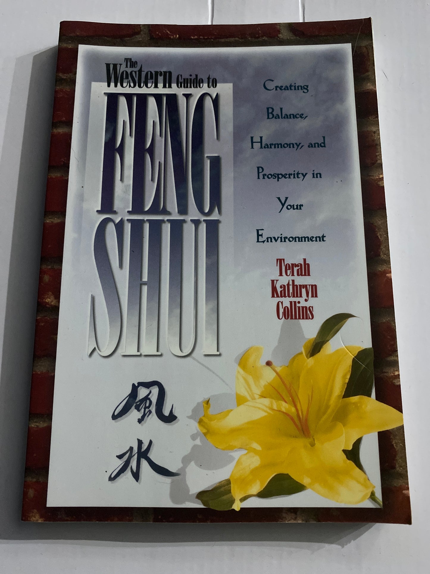The Western Guide to Feng Shui – Terah Kathryn Collins