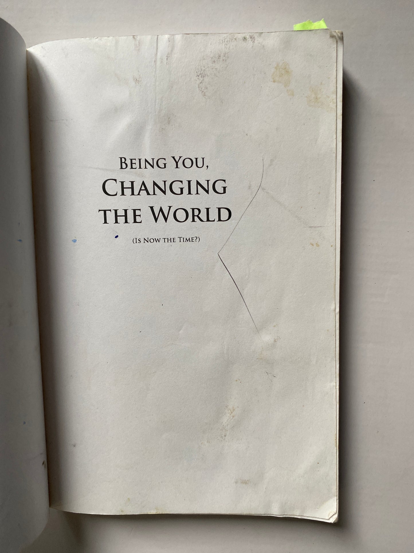 Being You, Changing the World by Dr. Dain Heer