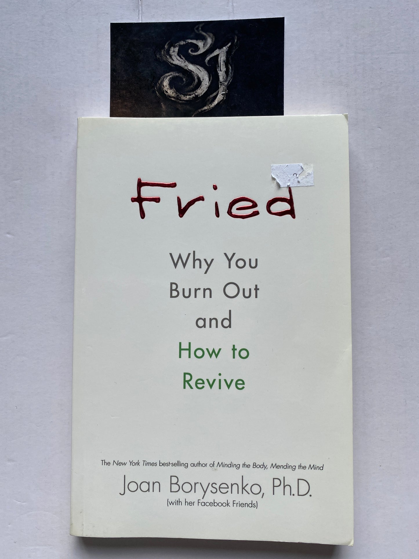 Fried by Joan Borysenko Ph.D.