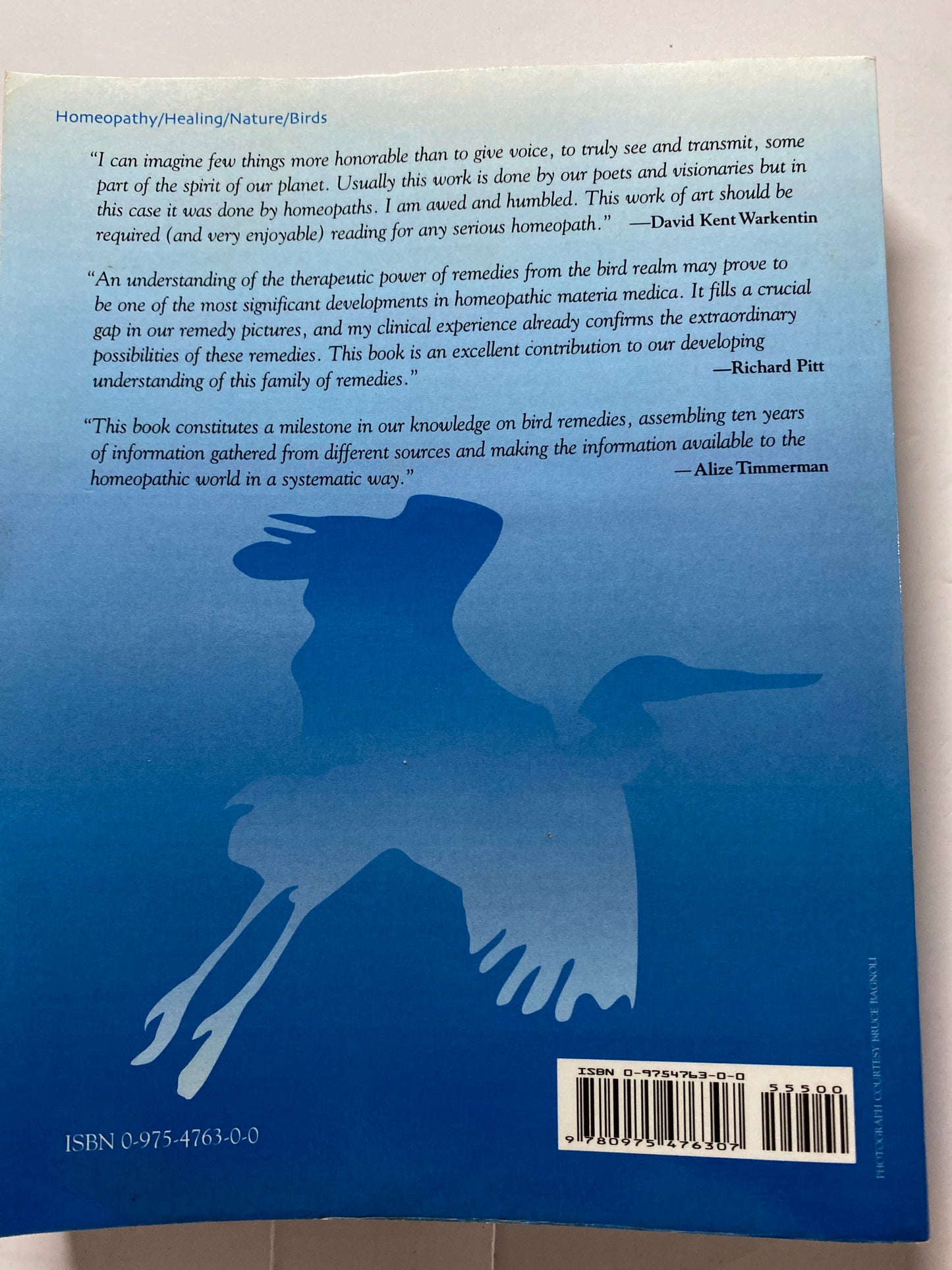 Birds: Homeopathic Remedies from the Avian Realm by Jonathan Shore MD, Judy Schriebman & Anneke Hogeland