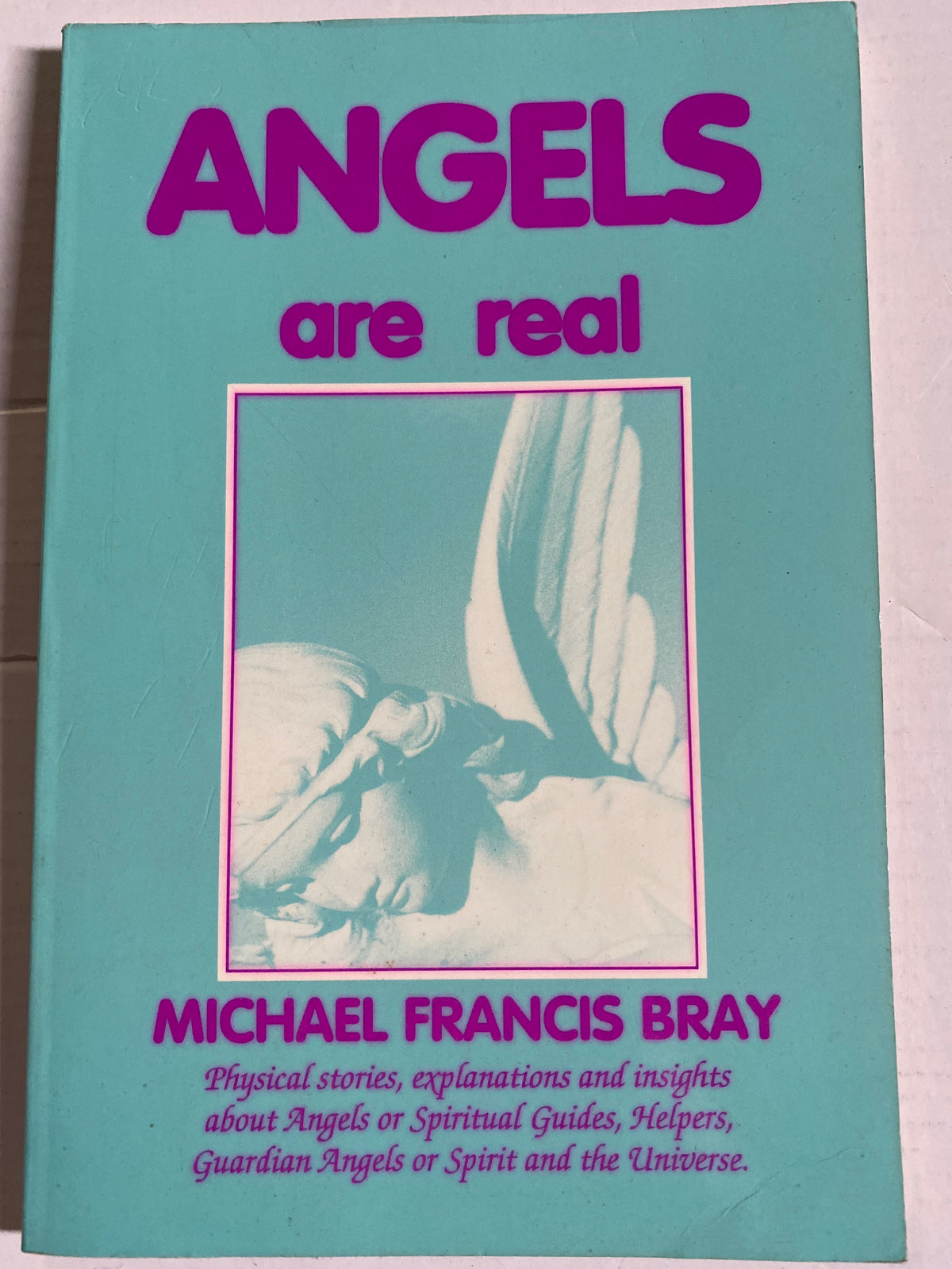 Angels Are Real by Michael F. Bray