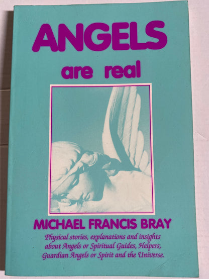 Angels Are Real by Michael F. Bray