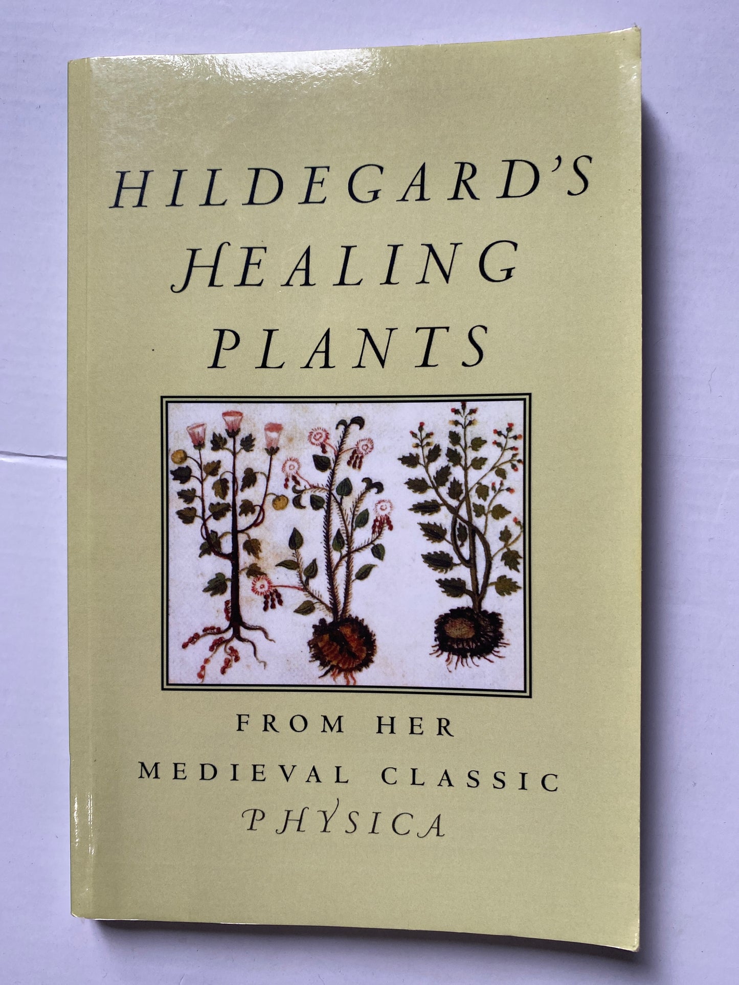 Hildegard's Healing Plants: From Her Medieval Classic Physica by Hildegard Von Bingen