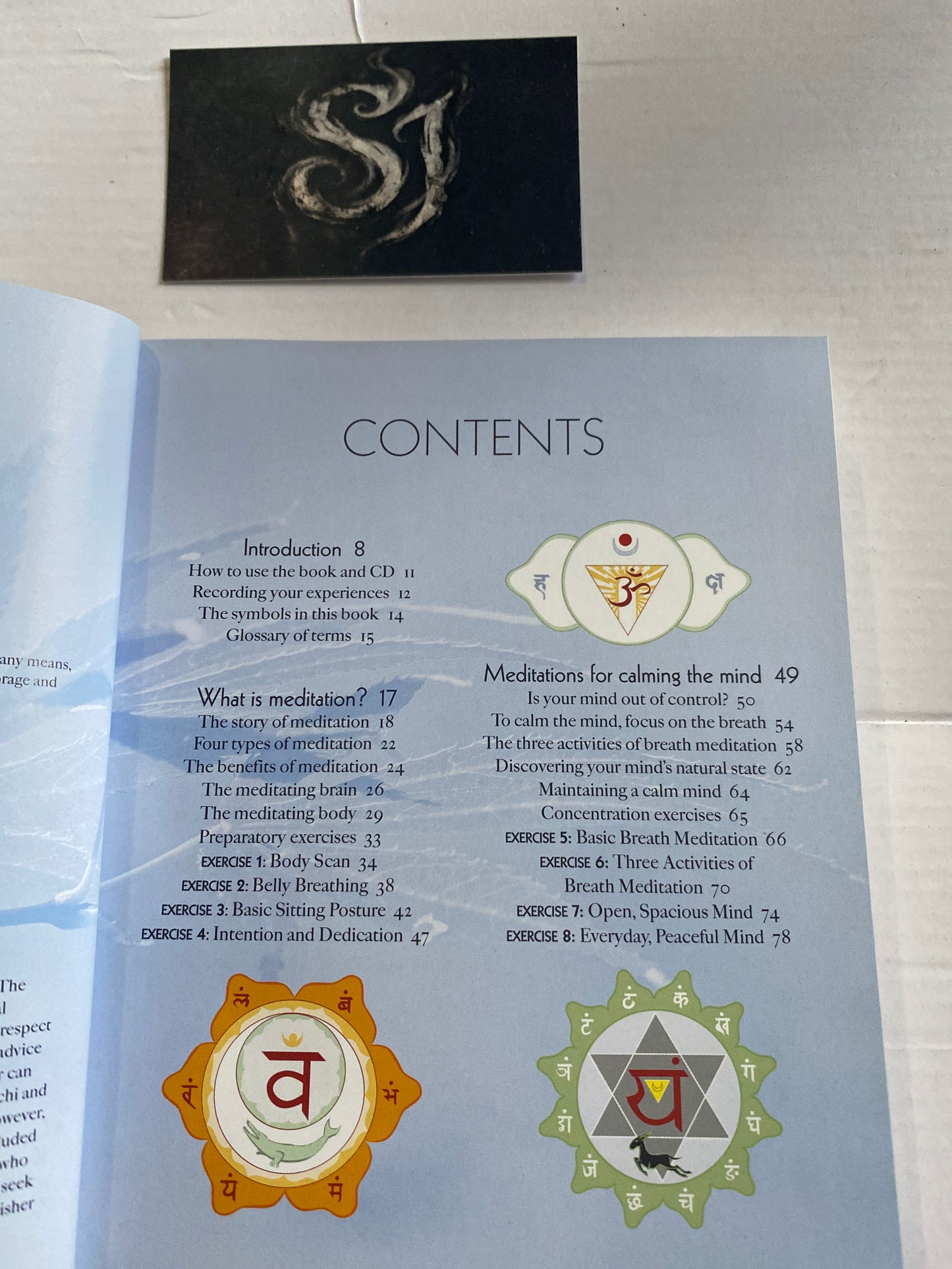 The Meditation Experience: Your Complete Meditation Workshop in a Book by Madonna Gauding