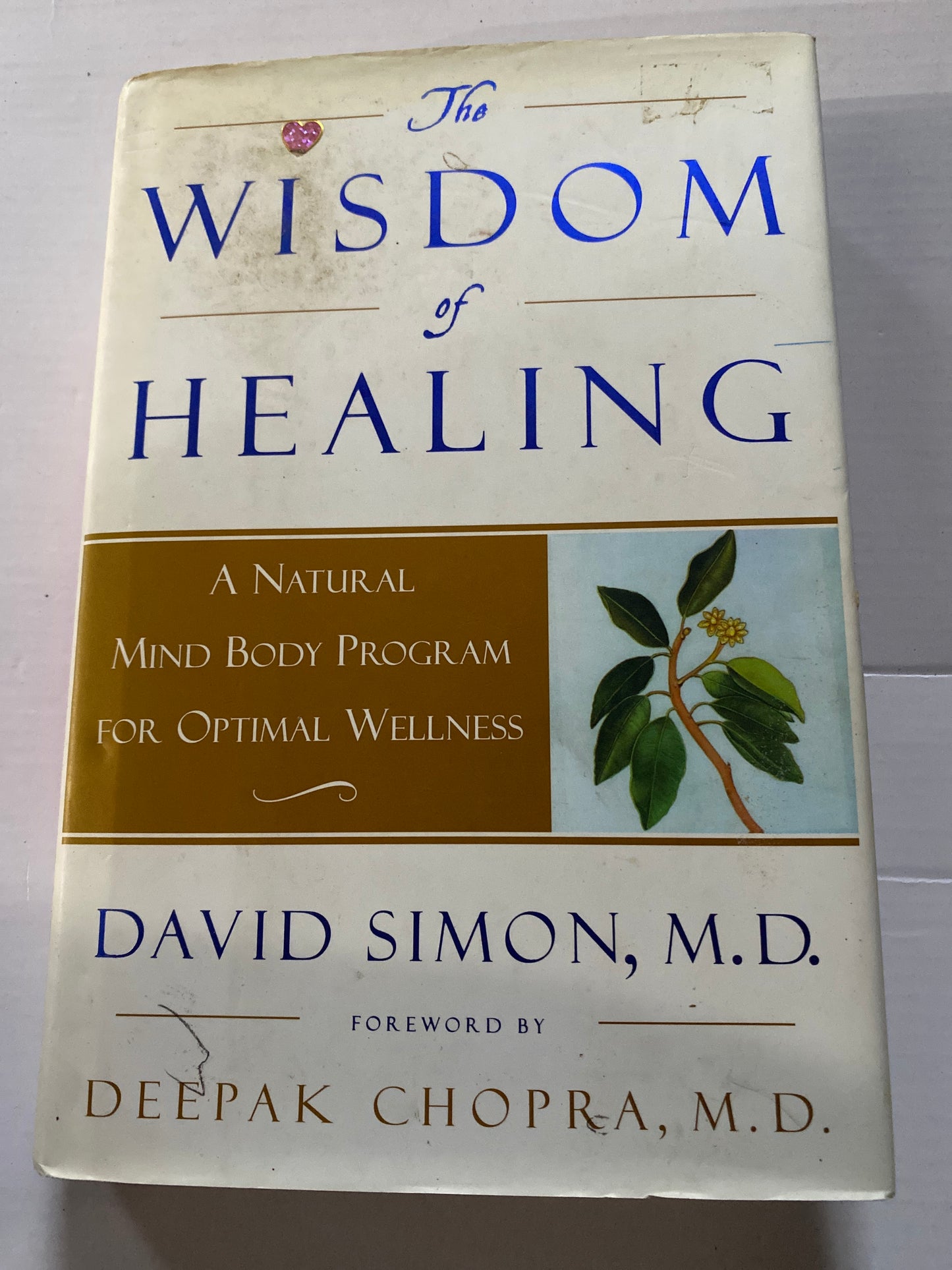 The Wisdom of Healing: A Natural Mind-Body Program for Optimal Wellness by David Simon