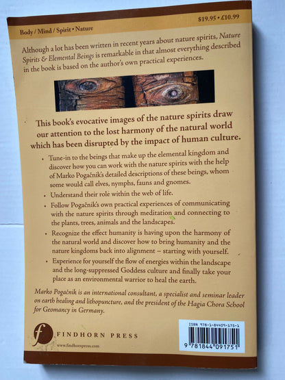 Nature Spirits & Elemental Beings: Working with the Intelligence in Nature by Marko Pogacnik