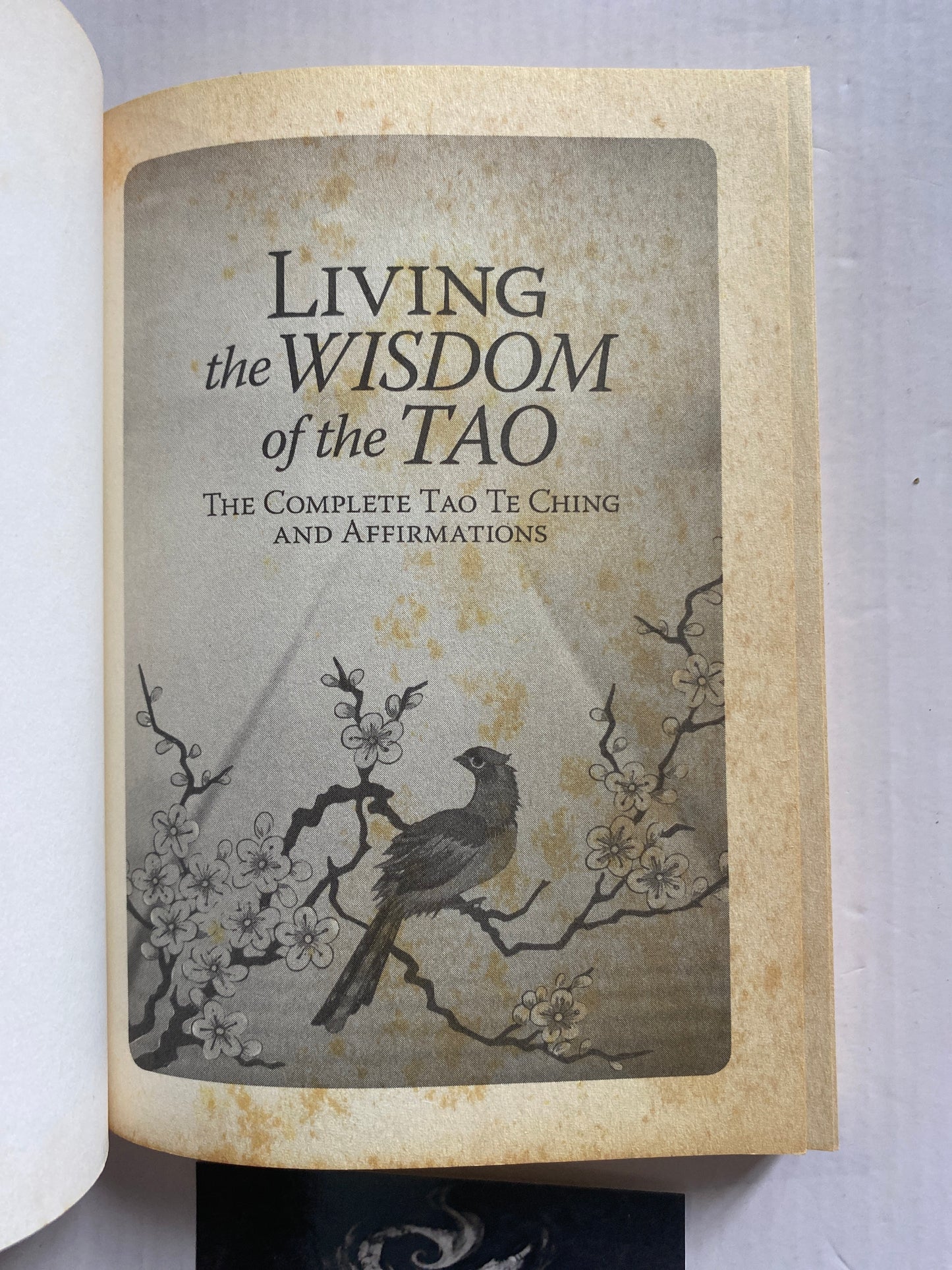Living the Wisdom of the Tao by Dr. Wayne W. Dyer