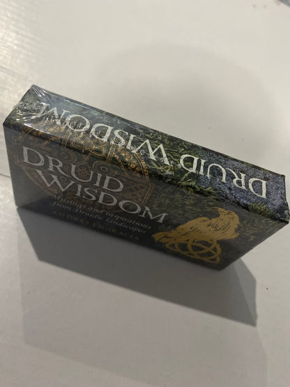 Druid Wisdom Inspiration Cards – 40-Card Oracle Deck Tarot