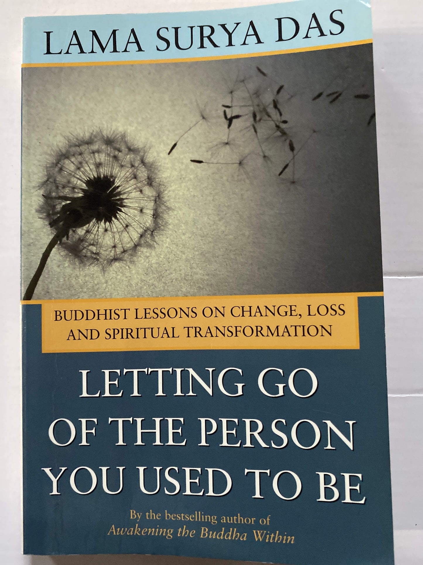 Letting Go of the Person You Used to Be by Lama Surya Das
