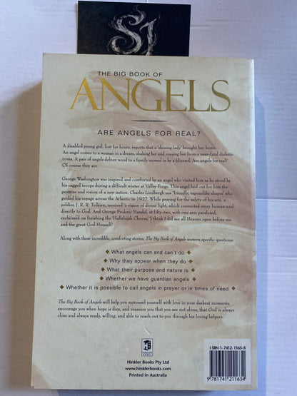 The Big Book of Angels By Wendy Schuman (2003)