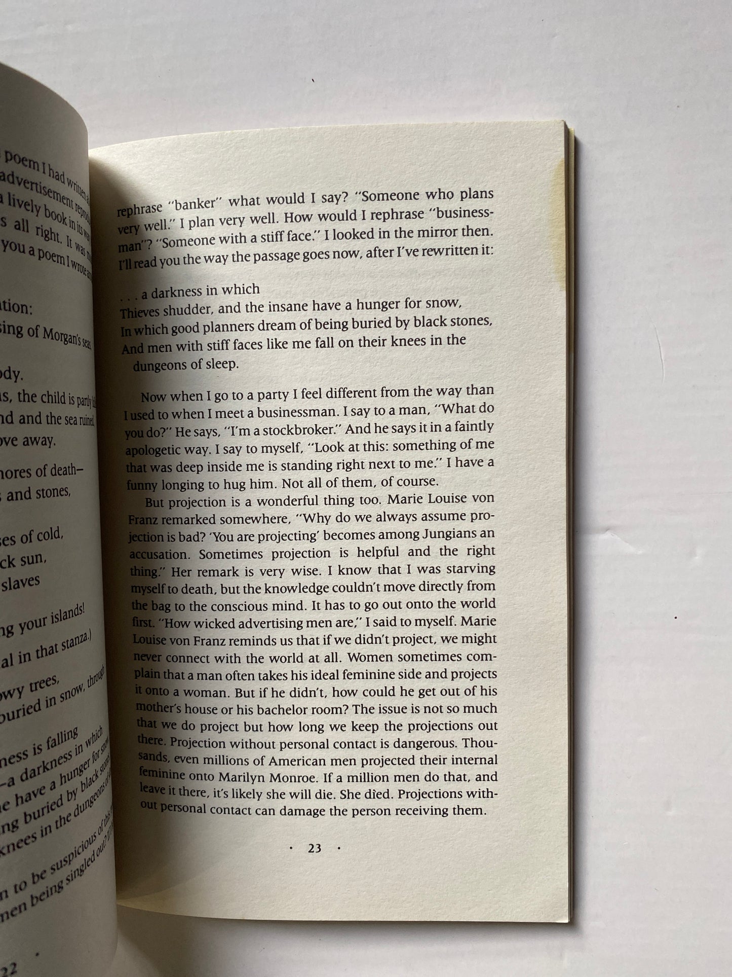 A Little Book on the Human Shadow (Little Books) by Robert Bly