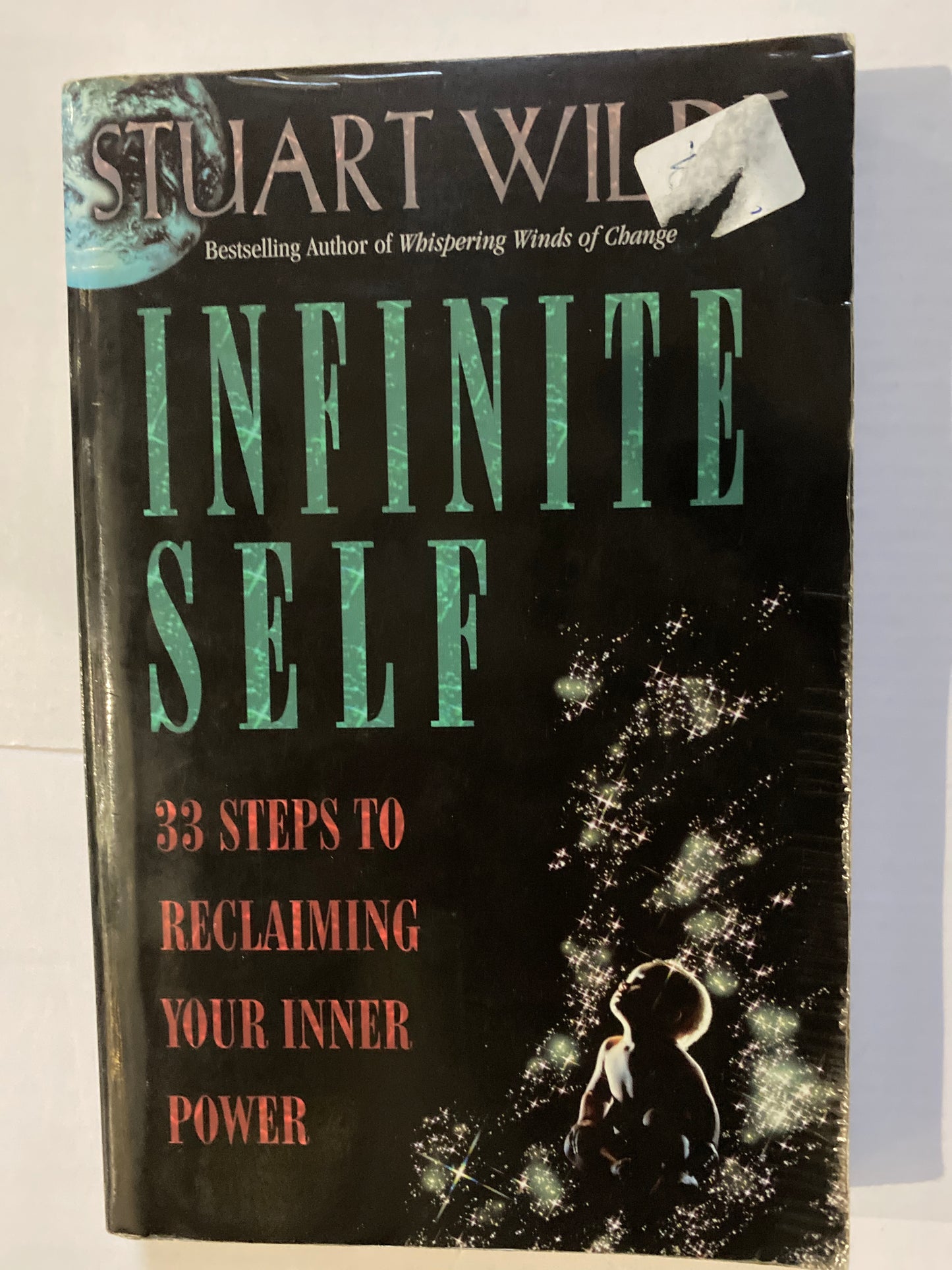 Infinite Self: 33 Steps to Reclaiming Your Inner Power by Stuart Wilde