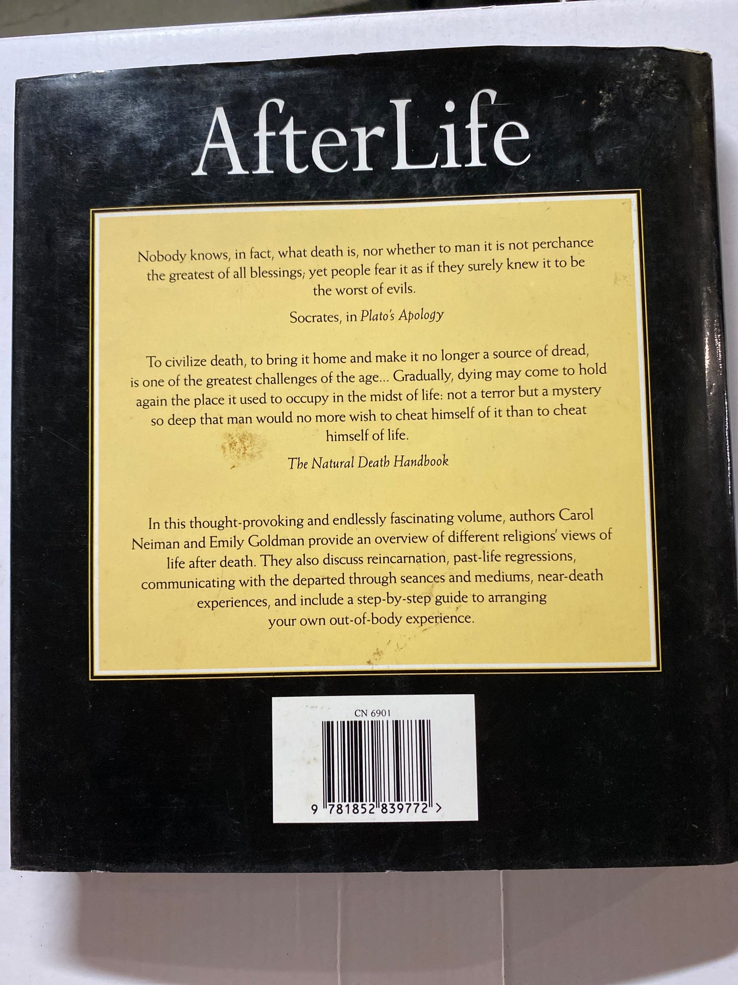 Afterlife: The Complete Guide to Life After Death by Emily Goldman & Carol Neiman