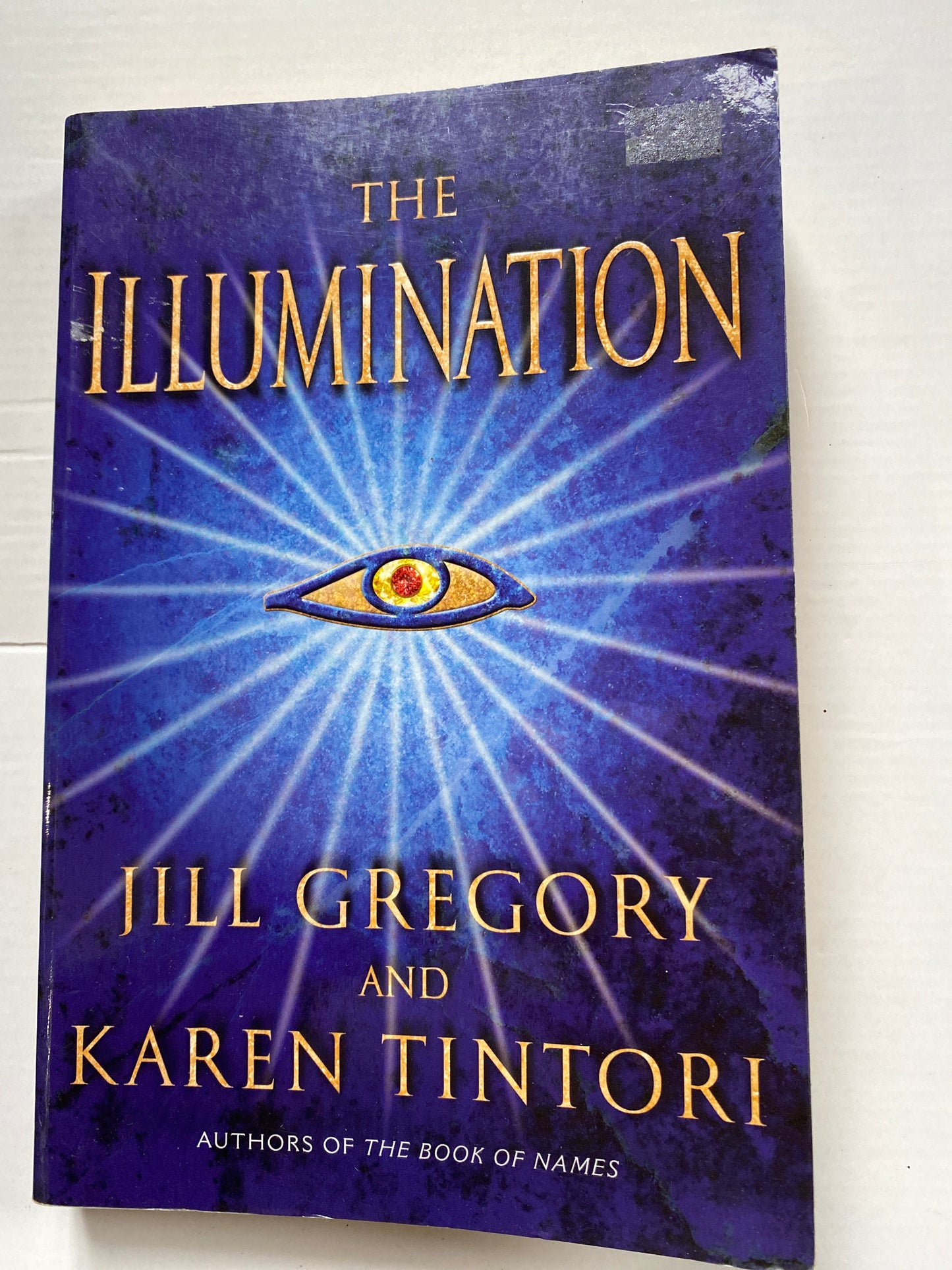The Illumination by Jill Gregory