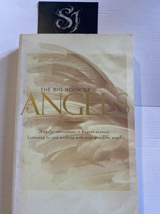 The Big Book of Angels By Wendy Schuman (2003)
