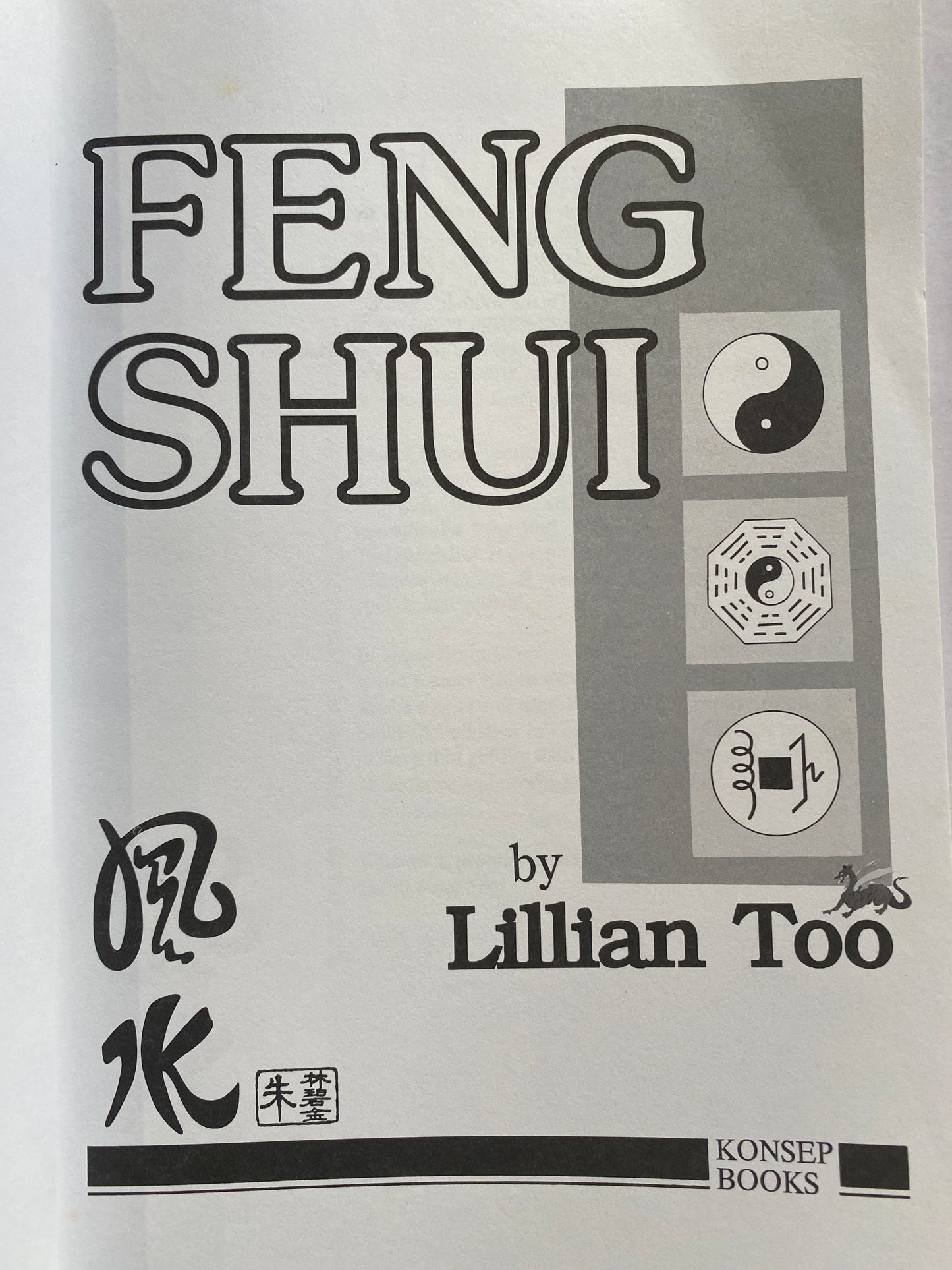 Feng Shui by Lillian Too