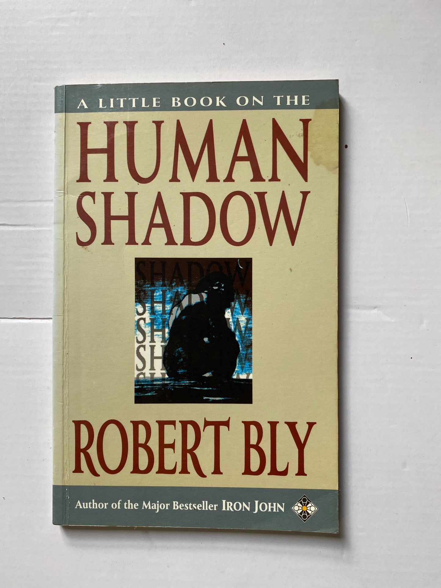 A Little Book on the Human Shadow (Little Books) by Robert Bly