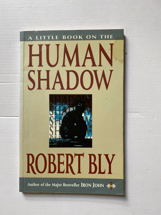 A Little Book on the Human Shadow — Robert Bly