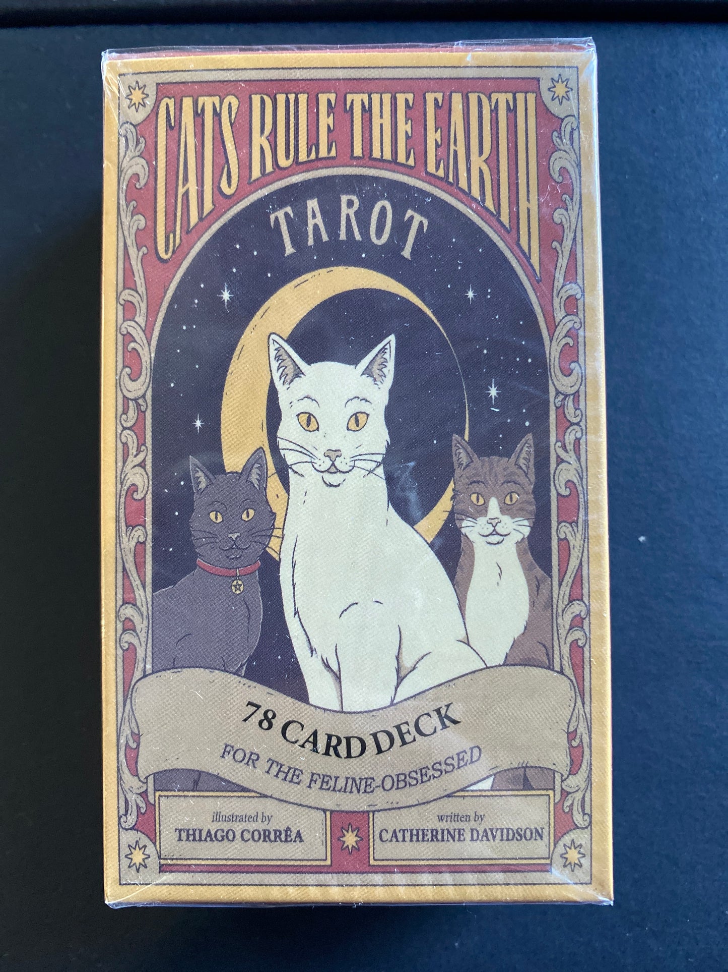 Cats Rule the Earth Tarot Oracle Cards