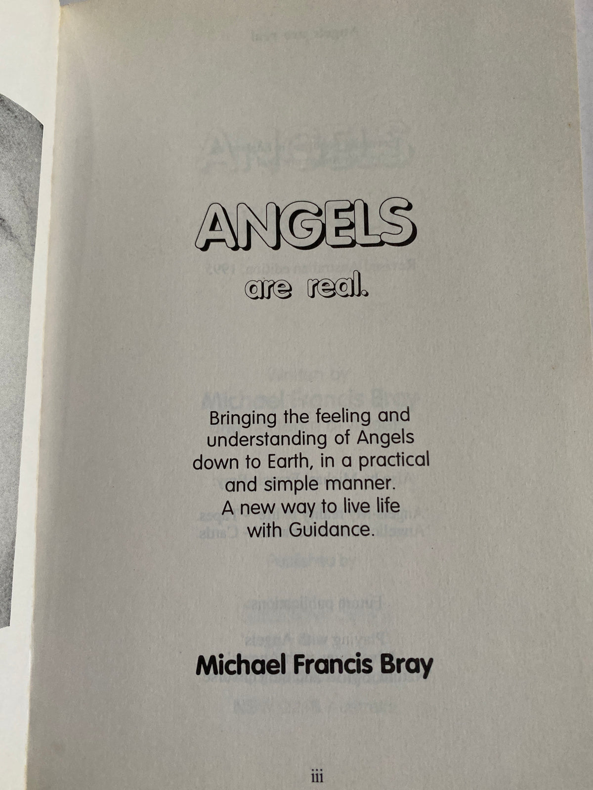 Angels Are Real by Michael F. Bray